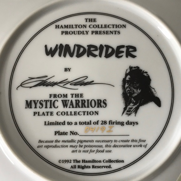 NEW 1992 The Hamilton Collection Mystic Warrior Windrider plate numbered CoA - Picture 5 of 8